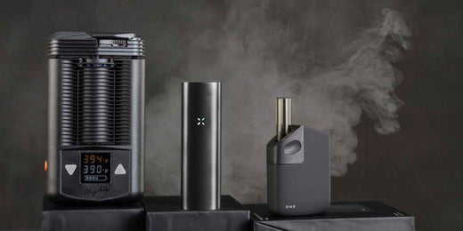 How to Use a Dry Herb Vaporizer (For Beginners)