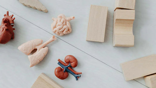 Dry Herb Vaporizers & Health: 6 Scientific Studies