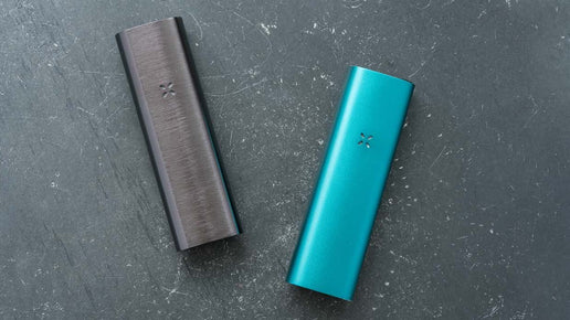 PAX 2 vs PAX 3 Comparison Vaporizer Review