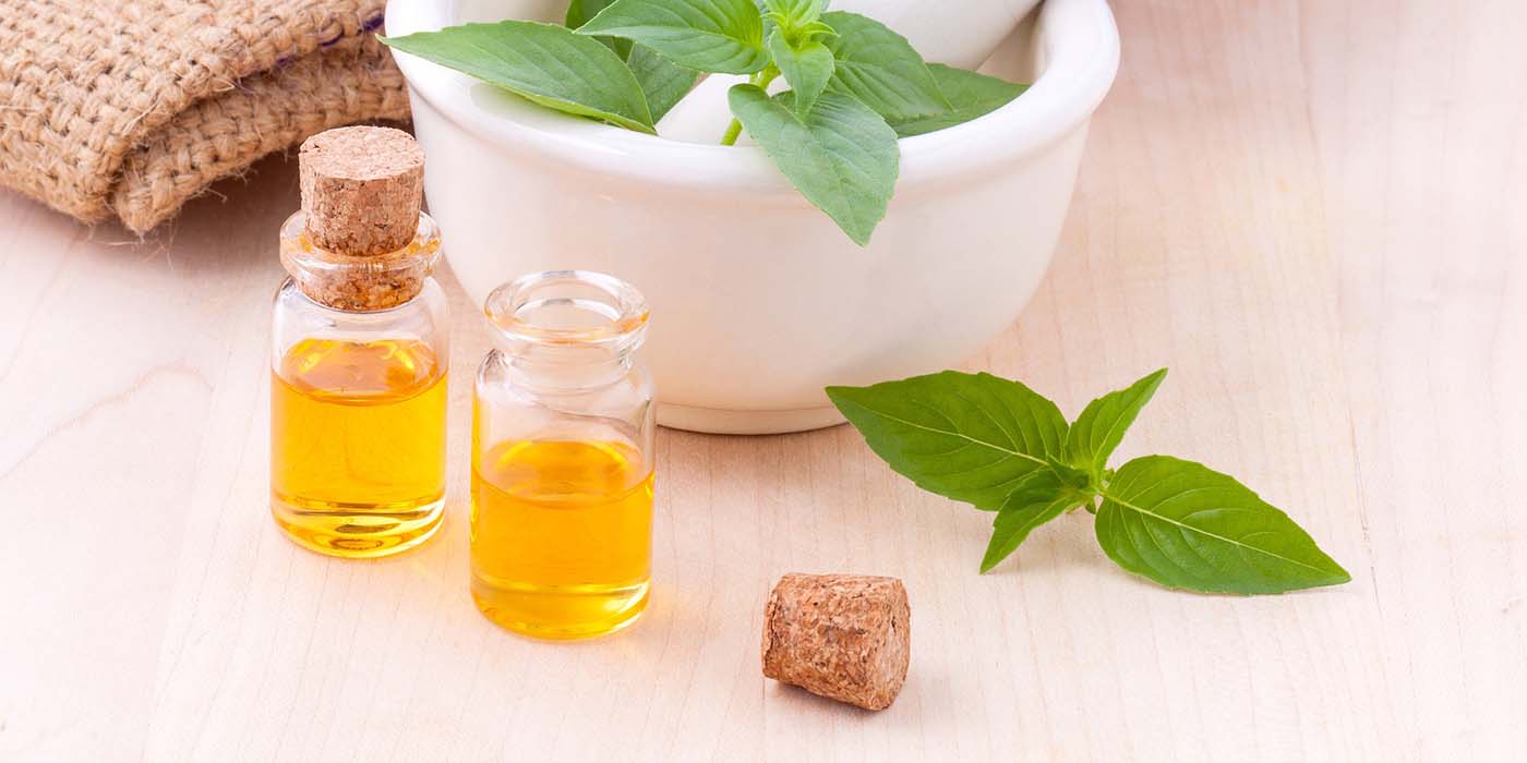 What are Terpenes?